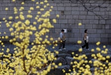 [내일 날씨] 낮 최고 19도, 일교차 커…미세먼지 '나쁨'