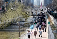 [오늘 날씨] 낮 최고 19도 '완연한 봄'…일교차 15~20도