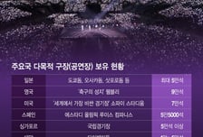 '한류 수도' 서울, 공연할 곳이 없다