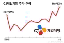 바닥 다지고 오를 일만 남았다?…증권가가 주목한 변동장 대피처들