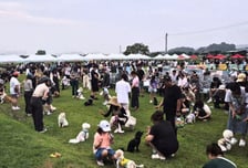 "보호에서 공존으로"…시흥시 반려동물 정책 패러다임 바꾼다