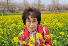 "어려운 사람 돕던 엄마" 퇴근길 교통사고→뇌사...3명 살리고 하늘로