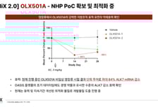 올릭스 "OLX501A, 전임상서 근육 유지·체지방 감소 효과 지속 확인"