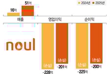 노을, 200억 적자에 법차손 우려…"고수익 신제품으로 선진시장 공략"