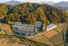 경북 영양군, 전국 최초 '임산물 스마트팜 실증단지' 선정