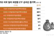 1510원 뚫은 환율·불안한 증시…달러 파킹형 ETF에 돈 몰린다