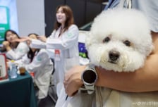 날로 커지는 펫보험 시장…카카오손보 가세로 판도 변화 예고