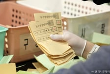 윤창호법 이후 음주, 격투기 전공자가 폭행…지선 후보자 전과 천태만상