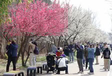 [내일 날씨] 낮 최고 21도, 건조한 봄날씨…미세먼지 '나쁨'