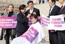 부산글로벌허브도시특별법 행안위 법안소위 통과