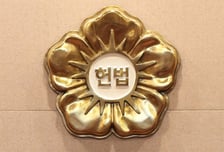 실익 없어 상고 안 했다고 각하?…소액사건은 재판소원 청구 못 하나