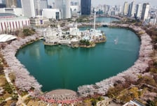 송파구, 다음달 3일 '호수벚꽃축제' 개최