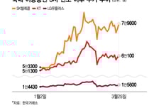 분리 과세에 탄탄한 실적…통신 3사 '배당 수익률' 부각