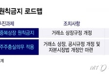 중복상장 막는다는데..."한국 산업 현실 반영해야"