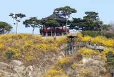 [오늘 날씨] 낮 최고 23도, 완연한 봄…큰 일교차 주의