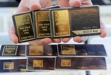 금괴, 사파이어, 하프, 종 컬렉션…고위공직자 '이색 자산' 얼마?