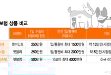 시장 위축 속 최고보장 '승부수'… 카카오손보, 펫보험 합류