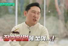 '자연인' 이승윤, 장수말벌 사고에 '생명 위협'…촬영 중 실신 고백