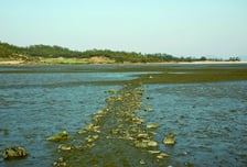 수백년 역사 담은 바다 지식 '물때', 국가무형유산 된다