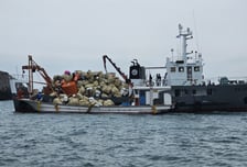 완도군, 70억 투입 청정 바다 보전에 나서