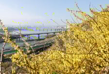 "우와~ 주말 봄날씨" 나들이 가려다 실망...'불청객' 탓 뿌연 하늘