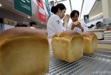 국산 밀 '품질 중심'으로 전환…2030년 자급률 8% 목표