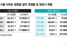 "현금 10억 없으니 작은 집 살자"…대출 6억 나오는 청약에 우르르