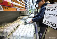 계란값 담합 땐 '설립 허가 취소'…돼지고기 가격도 전면 점검