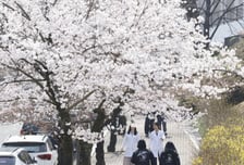 [오늘 날씨] 일교차 크고 미세먼지 '나쁨'…낮 최고 25도