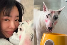 반려견 화장 지운 사진 '띡'...동물학대 논란 여배우에 반응 싸늘