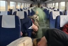 보훈부 "안중근 의사 조롱한 틱톡 영상 삭제…재발 방지법 추진"