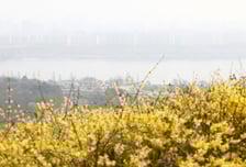 [오늘 날씨] 낮 최고 23도 '포근'…봄나들이 미세먼지 주의