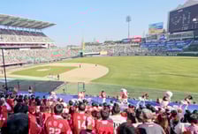 [포토]기나긴 야구없는 시즌은 끝났다! '랜더스필드' 찾은 야구팬들