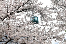 [오늘 날씨] 따뜻하지만 일교차 큰 날씨…수도권 건조특보