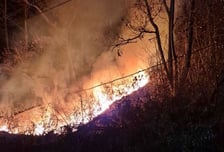 홍성 산불 방화 혐의 50대, 자택서 '쿨쿨' 체포…"기억이 없다"