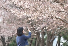 직장인들의 여유 위해…'2026 여가친화인증' 신청 받아요