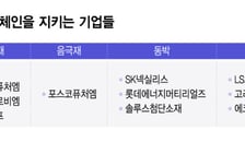 K배터리 힘은 독립 생태계…놓치면 수백조 시장 중국에 뺏겨