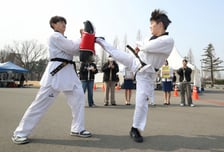 태권도, 2번째 남북 공동무형유산 될까…'인삼'도 등재 신청