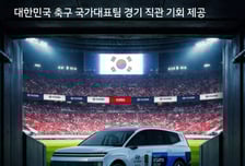 "현대차 시승하고 북중미 월드컵도 직관"