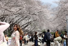 "20대 여성이 10만원 썼어요"…'똑똑해진' 한국관광 데이터랩