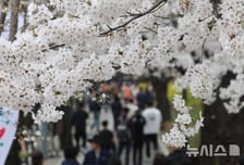 [내일 날씨] "겉옷 챙기세요"…아침 쌀쌀·낮 포근, 일교차 15도