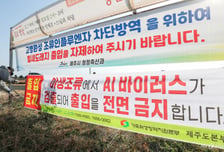 익산 산란계 농장서 고병원성 AI 확진…14만마리 살처분