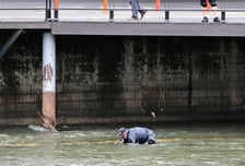장모 시신 든 캐리어 끄는 사위, 뒤엔 주머니 손 넣은 딸…CCTV '섬뜩'