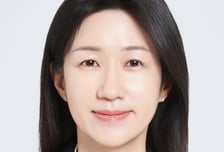 법무법인 광장, 홍정연 전 대검찰청 노동수사지원과장 영입