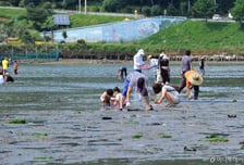 해수부, 지속가능한 갯벌 만든다…안전·복원 등 데이터로 관리 역량 ↑