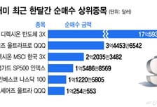 이란전 변동성에 3배 레버리지 몰려든 서학개미...한달간 4조 샀다