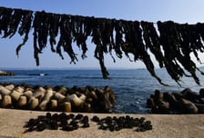 '3월 온난화' 굳어지나…9년 연속 평년보다 높은 기온