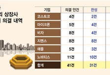 월가서 목소리 높이는 국민연금, '중국·아동 성착취' 보고 의안에 반대
