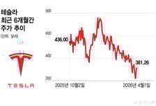테슬라 1분기 전기차 인도량, 13% 증가 전망…주가는 올해 15% 하락[오미주]