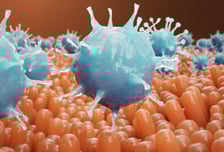 "위암 키우는 나쁜 단백질 찾았다"…억제했더니 위암세포 성장 '뚝'